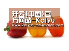 产品名称六