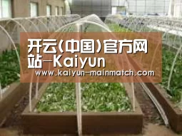 环境展示五