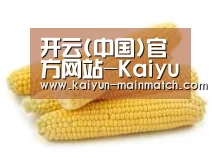 产品名称五