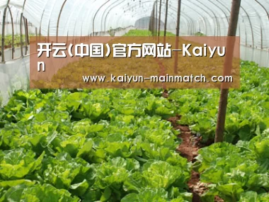 种植基地五