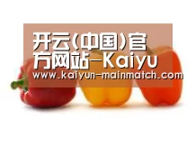 产品名称六(图1)