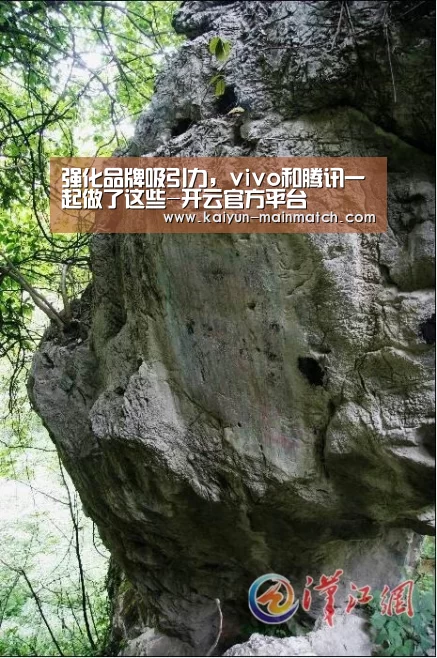 强化品牌吸引力,vivo和腾讯一起做了这些-开云官方平台(图1) 开云官网